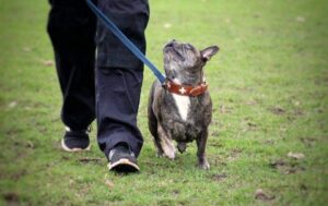 FB_IMG_1581808625035