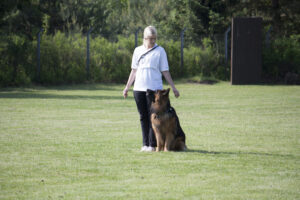 FUN_CUP_PHV_STELLE_32