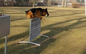 WhatsApp Image 2024-10-01 at 17.42.02