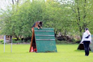 WhatsApp Image 2024-10-01 at 20.30.38 (4)