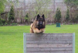 WhatsApp Image 2024-10-01 at 20.30.39