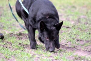 WhatsApp Image 2024-10-01 at 20.48.20 (1)