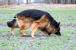 WhatsApp Image 2024-10-01 at 20.48.20 (2)