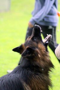 WhatsApp Image 2024-10-01 at 20.48.20