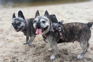 WhatsApp Image 2024-09-30 at 18.11.38